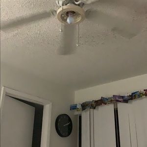 Meet your Posher, Alison